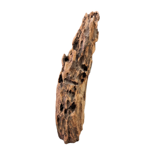 14.1 to 19.5 inch - TEXTURE DRIFTWOOD - Large 35 to 50cm - Indonesia - NEW923 - #1