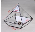 Pyramid Container Glass Terrarium Small 15 x 15 x 17 cm / 6 x 6 x 6.5 inch