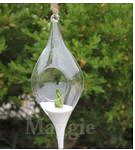 Blown Glass Olive Shape Terrarium 8 x 22 cm