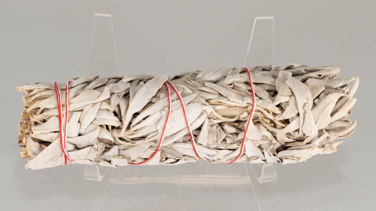 WHITE SAGE 5 inch Sticks BULK