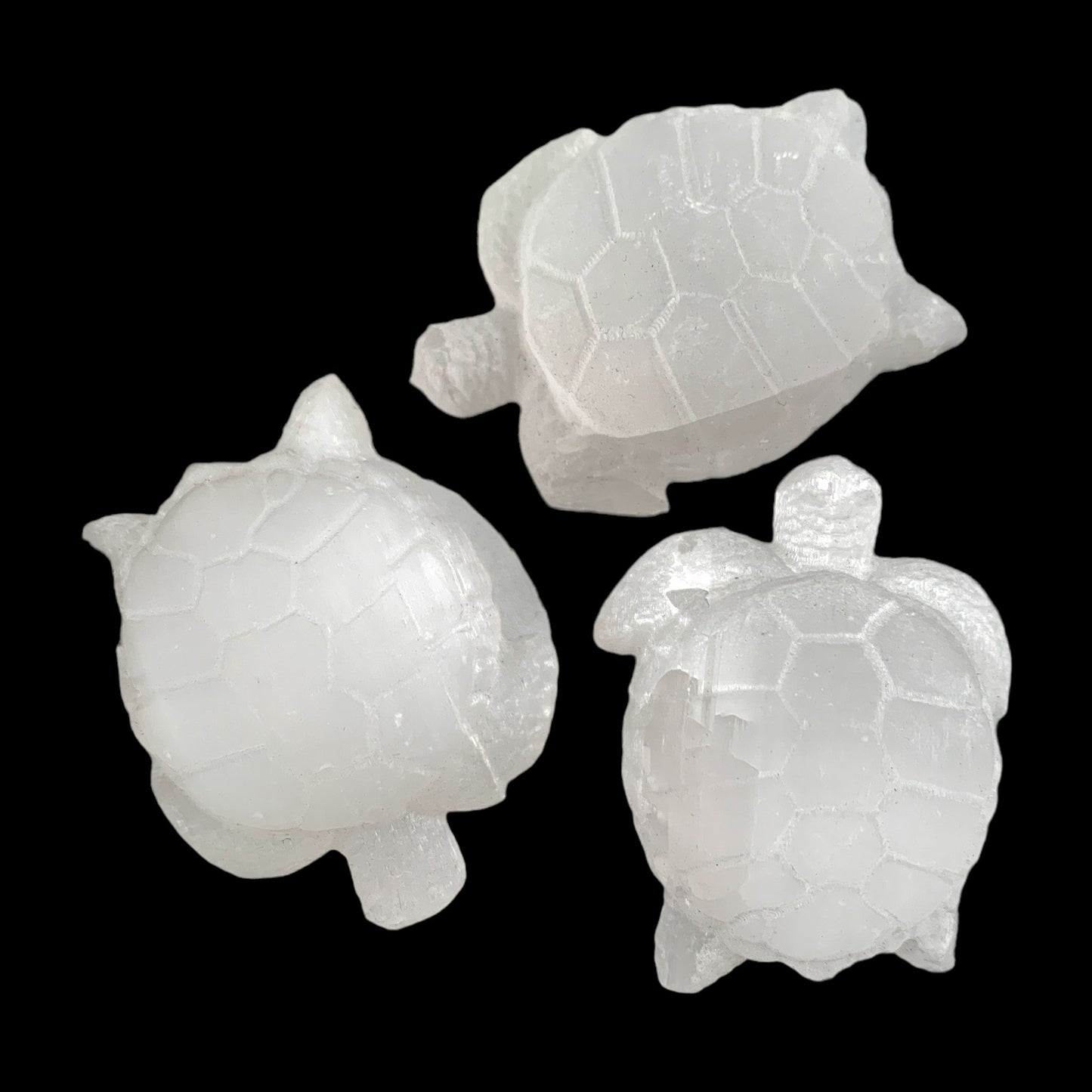 Tortoise -10x7cm- Selenite - Large - Hand Carved - China - NEW922