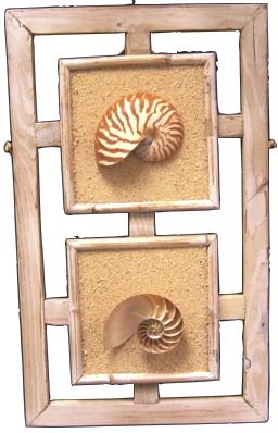 NAUTILUS WALL DECOR - DOUBLE WHITEWASH - 10 x 17