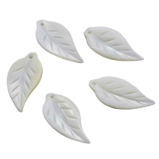 20mm Leaf Design Shell Beads Assorted - NEW523
