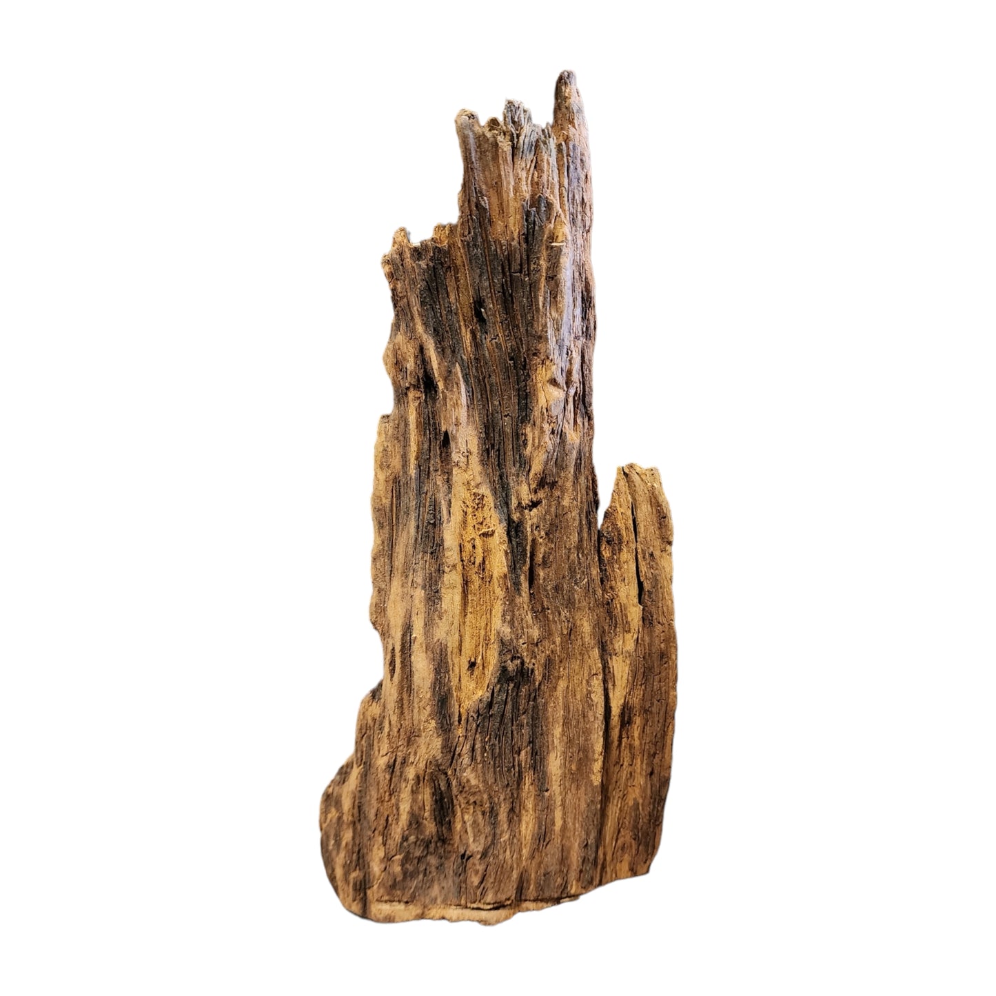 7 to 9.75 inch - TEXTURE DRIFTWOOD - Small <25cm - Indonesia - NEW923 - #1