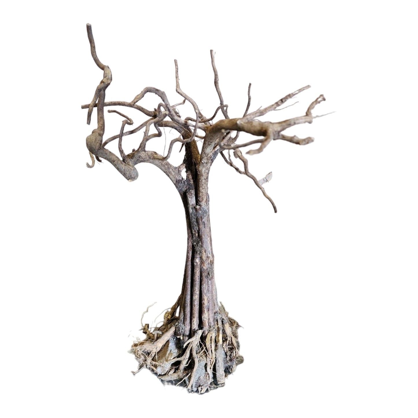 12 inch - Tree Patu DRIFTWOOD - 30-35cm - Indonesia - NEW923 - #9J