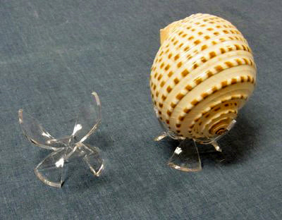 Expositor de tulipanes esféricos de 3 3/4 cuadrados en plexiglás transparente