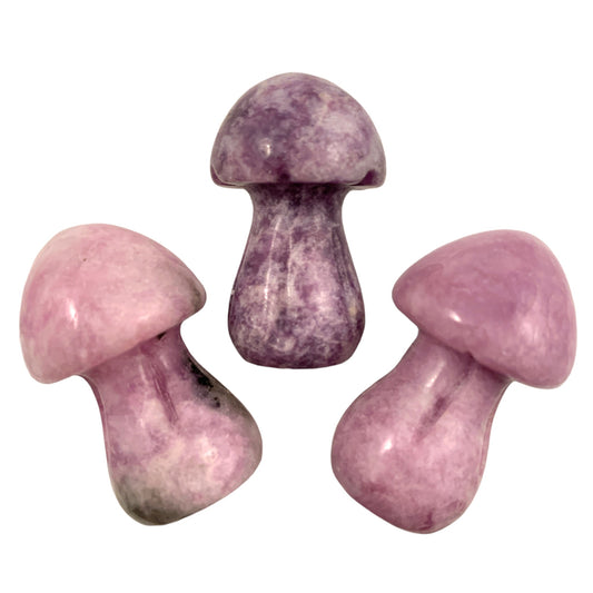 Mushrooms SMALL 	
LEPIDOLITE - 35mm - Price Each - China - NEW722